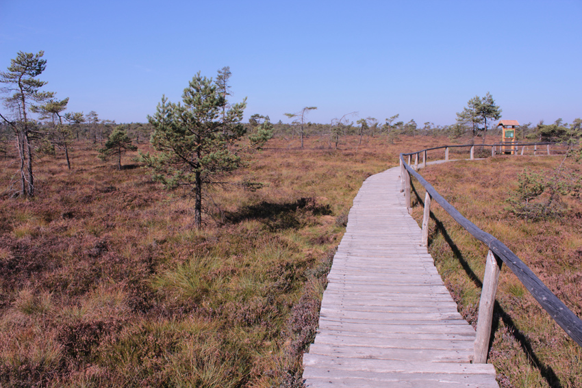 Bohlenweg im Schwarzen Moor &copy; Uli Wessely