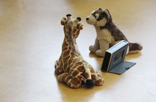 Stofftier-Giraffe und -Wolf schauen sich an. Quelle: Andreas Bohnenstengel, CC BY-SA 3.0 DE <https://creativecommons.org/licenses/by-sa/3.0/de/deed.en>, via Wikimedia Commons